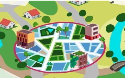 Participación y consulta pública